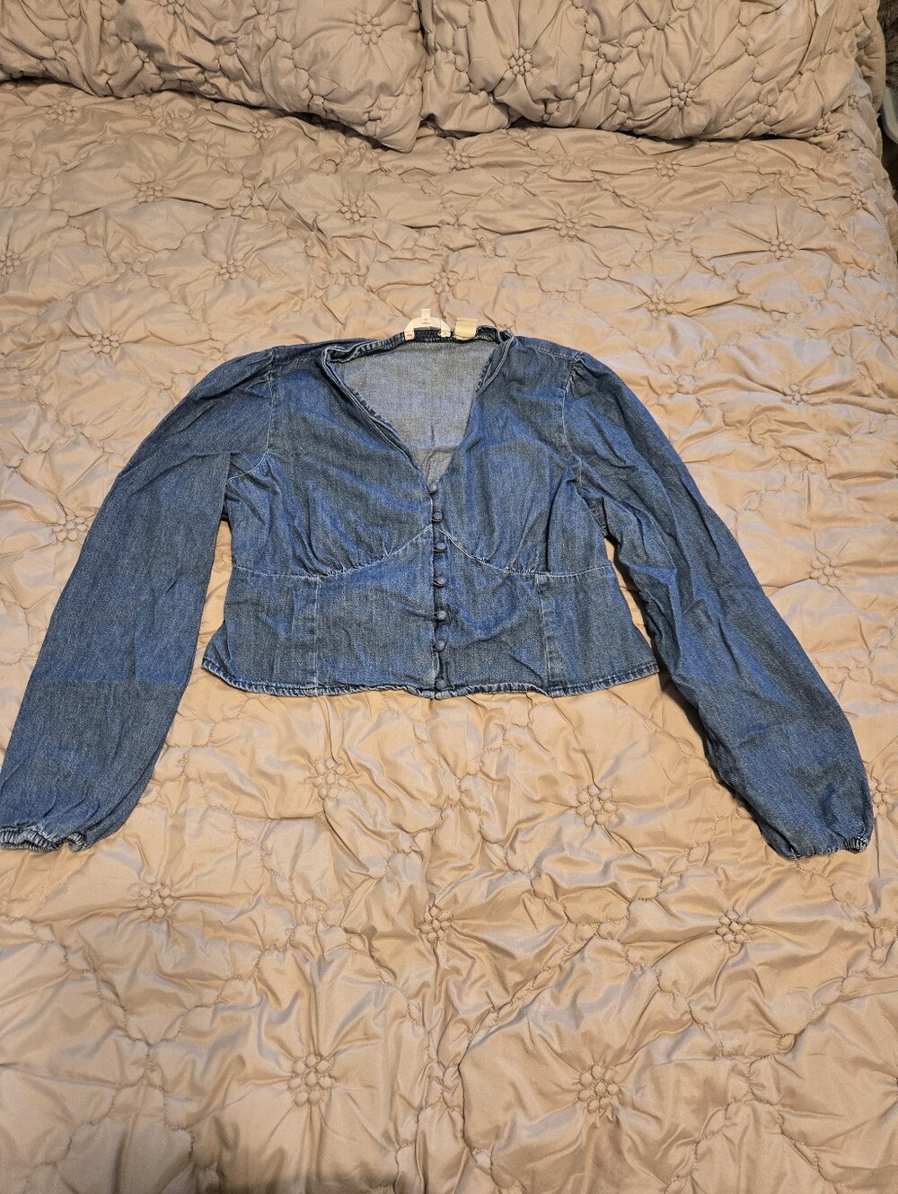 Levi's Women's Button-Front Denim Blouse in Blue